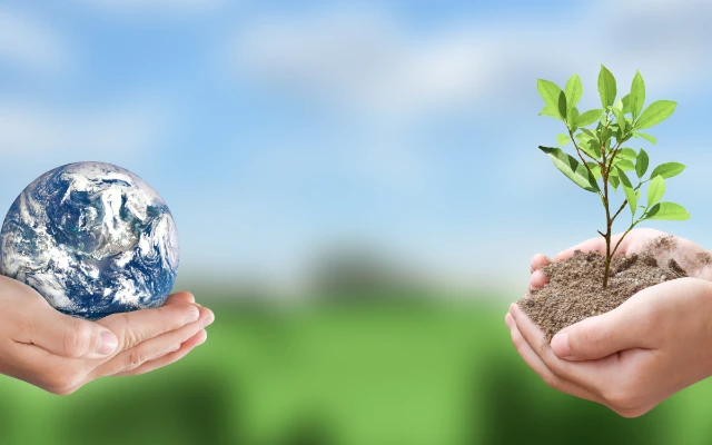 Principles and Measures